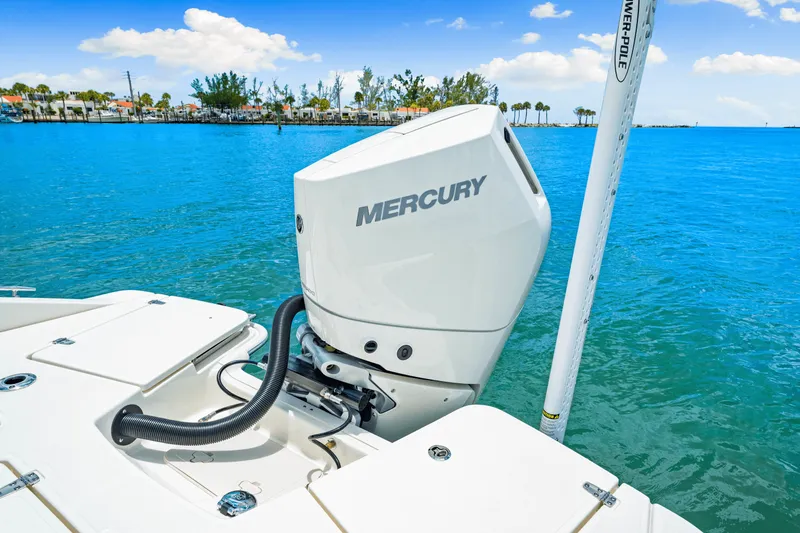 Slide: The Image of Boston Whaler 250 Dauntless 2025 - 32