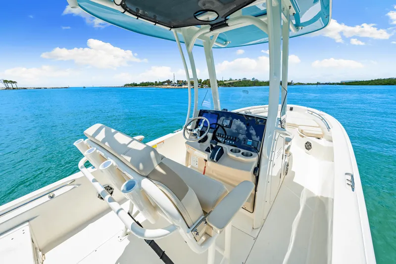 Slide: The Image of Boston Whaler 250 Dauntless 2025 - 33