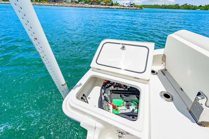 Slide: The Image of Boston Whaler 250 Dauntless 2025 - 38