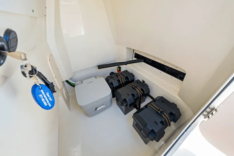 Slide: The Image of Boston Whaler 250 Dauntless 2025 - 39