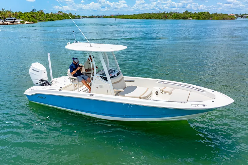 Slide: The Image of Boston Whaler 250 Dauntless 2025 - 4