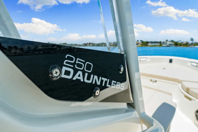Slide: The Image of Boston Whaler 250 Dauntless 2025 - 41