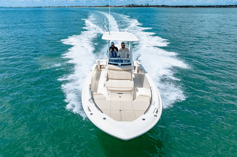 Slide: The Image of Boston Whaler 250 Dauntless 2025 - 43