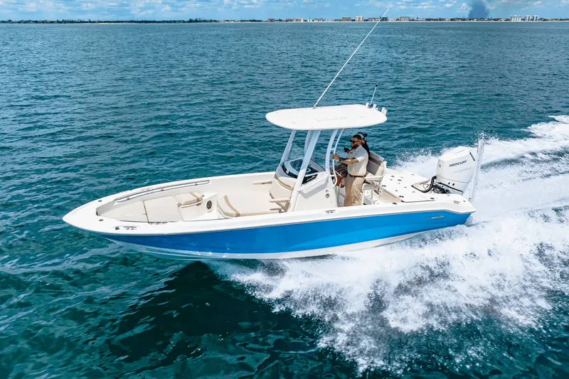 Slide: The Image of Boston Whaler 250 Dauntless 2025 - 46
