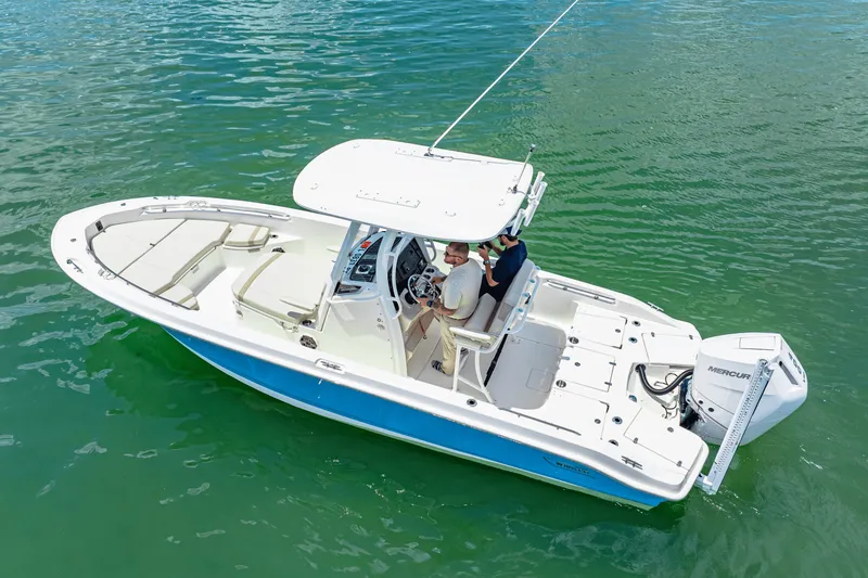 Slide: The Image of Boston Whaler 250 Dauntless 2025 - 5