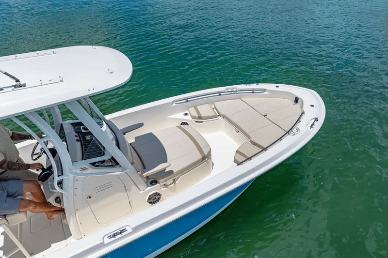 Slide: The Image of Boston Whaler 250 Dauntless 2025 - 7