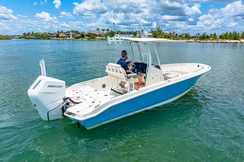 Slide: The Image of Boston Whaler 250 Dauntless 2025 - 8