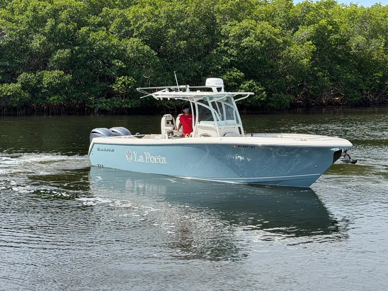 Slide: The Image of Sailfish 290 CC 2023 - 2