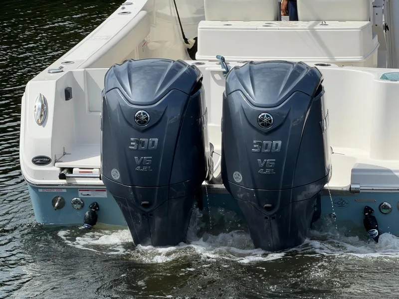 Slide: The Image of Sailfish 290 CC 2023 - 33