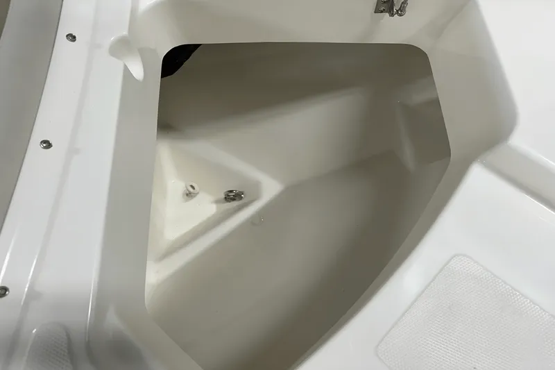 Slide: The Image of Boston Whaler 240 Vantage 2025 - 106