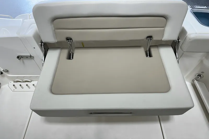 Slide: The Image of Boston Whaler 240 Vantage 2025 - 21