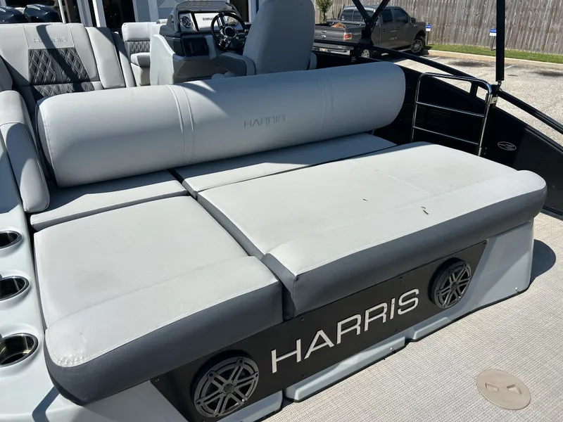 Slide: The Image of Harris Solstice 230 2020 - 13