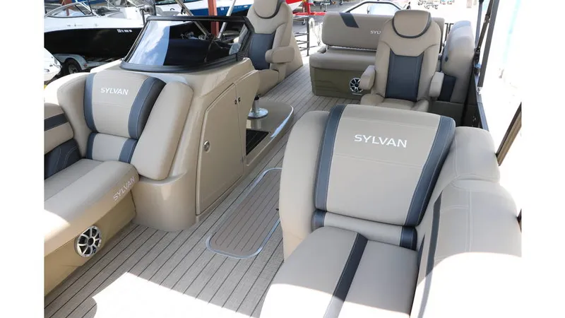 Slide: The Image of Sylvan L3 CLZ DH Tri Toon 2025 - 10