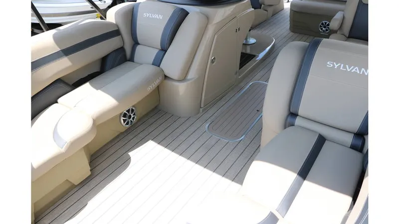 Slide: The Image of Sylvan L3 CLZ DH Tri Toon 2025 - 11