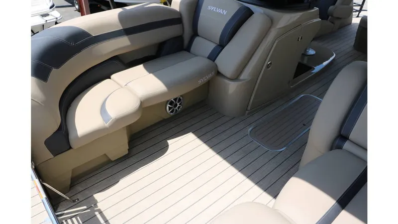 Slide: The Image of Sylvan L3 CLZ DH Tri Toon 2025 - 12