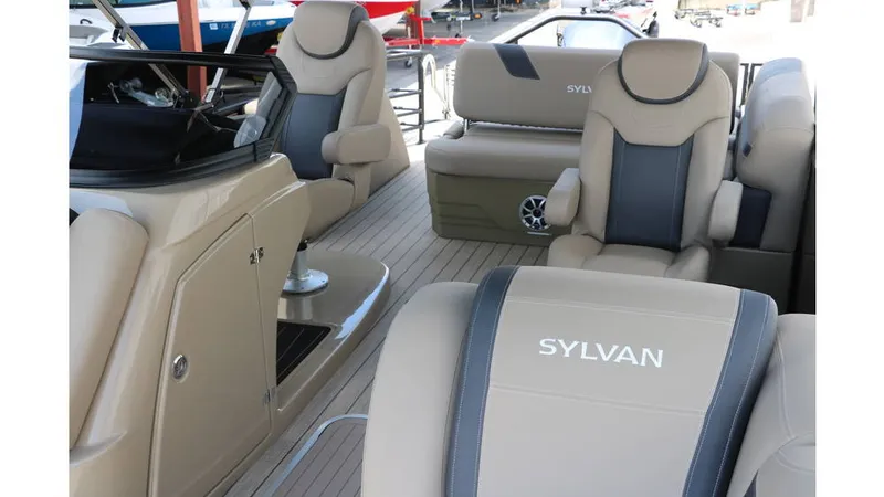 Slide: The Image of Sylvan L3 CLZ DH Tri Toon 2025 - 13