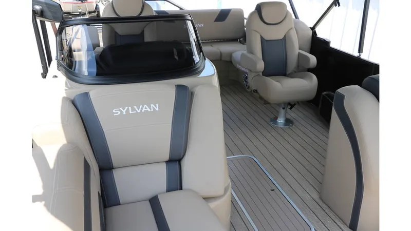 Slide: The Image of Sylvan L3 CLZ DH Tri Toon 2025 - 14