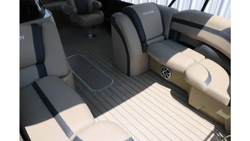 Slide: The Image of Sylvan L3 CLZ DH Tri Toon 2025 - 15