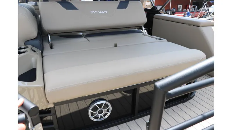 Slide: The Image of Sylvan L3 CLZ DH Tri Toon 2025 - 19