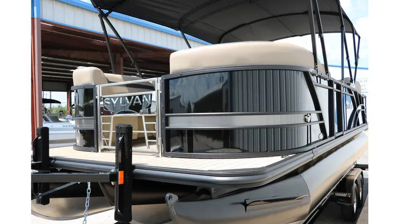 Slide: The Image of Sylvan L3 CLZ DH Tri Toon 2025 - 2