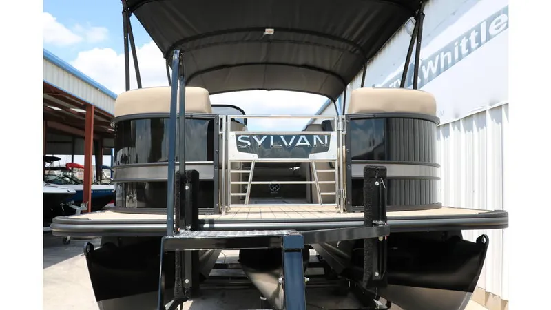 Slide: The Image of Sylvan L3 CLZ DH Tri Toon 2025 - 4