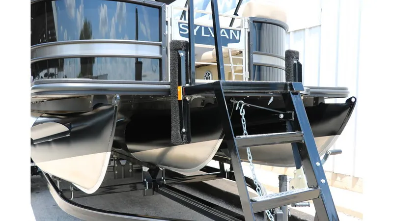 Slide: The Image of Sylvan L3 CLZ DH Tri Toon 2025 - 6