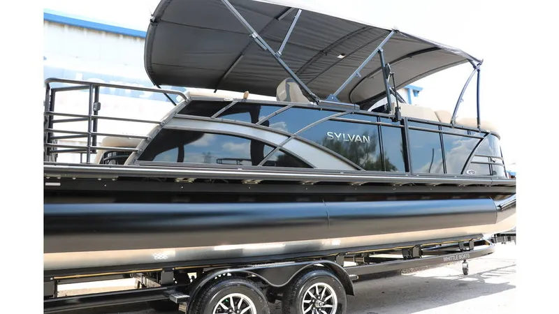 Slide: The Image of Sylvan L3 CLZ DH Tri Toon 2025 - 8