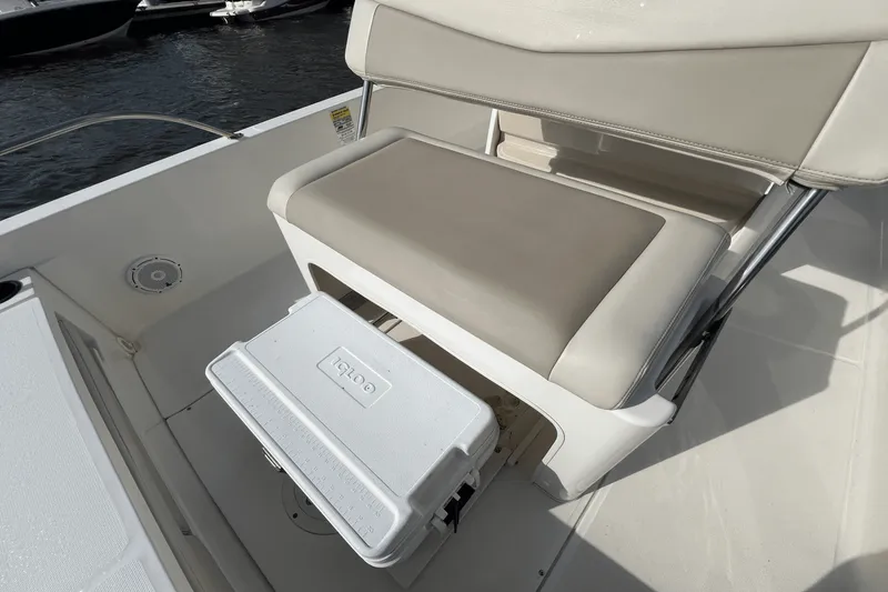 Slide: The Image of Boston Whaler 240 DAUNTLESS 2020 - 10