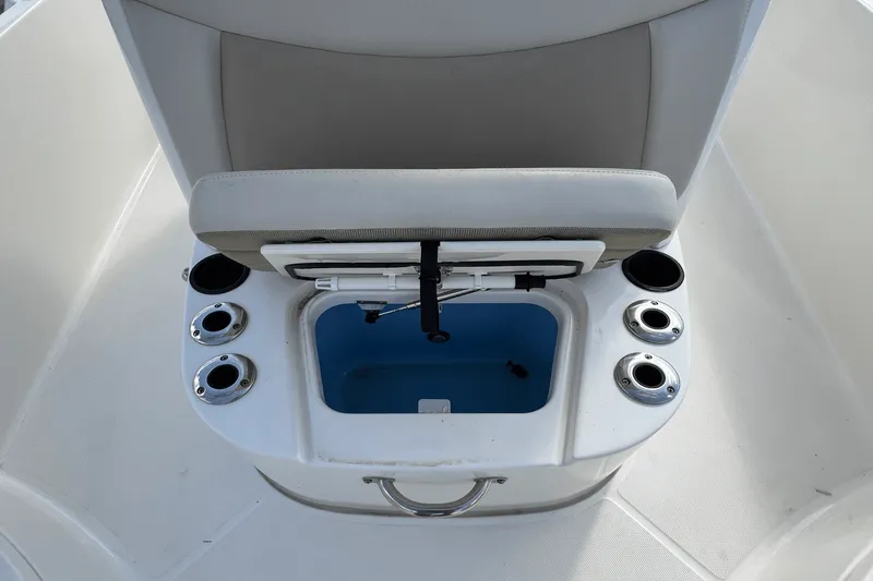 Slide: The Image of Boston Whaler 240 DAUNTLESS 2020 - 22
