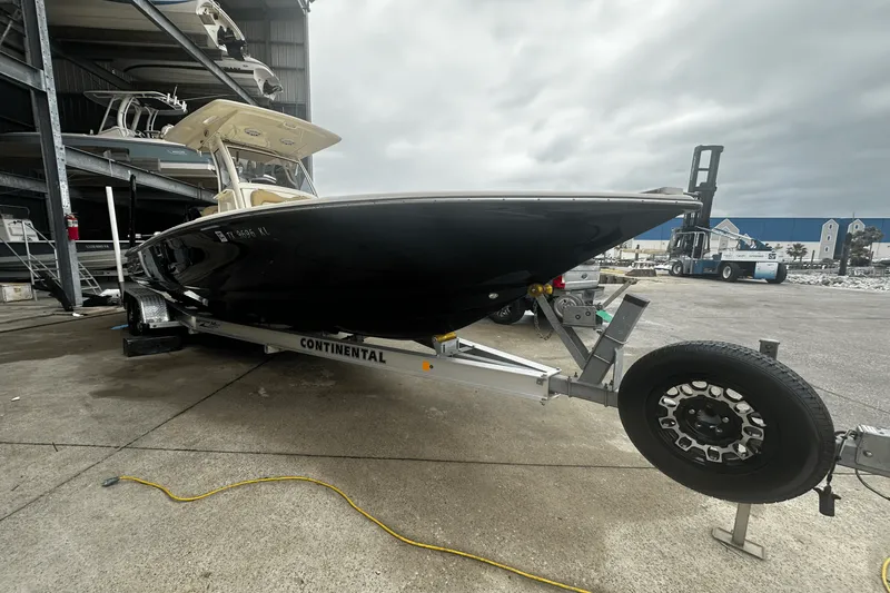 Slide: The Image of Scout 251 XSS 2020 - 3