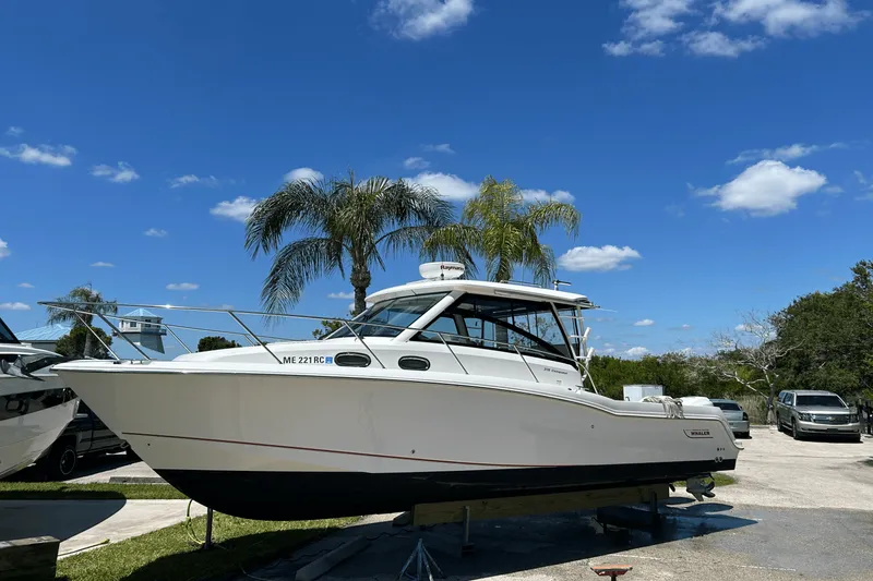 Slide: The Image of Boston Whaler 315 CQ 2017 - 2