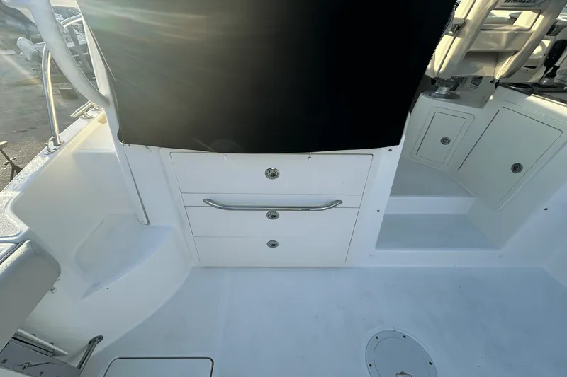 Slide: The Image of Boston Whaler 315 CQ 2017 - 42