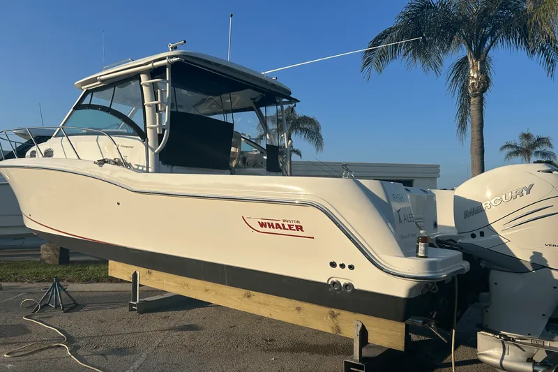 Slide: The Image of Boston Whaler 315 CQ 2017 - 7