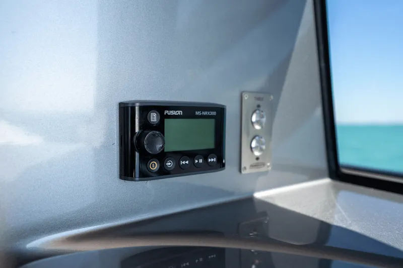 Slide: The Image of Perishing 7X 2020 - 52