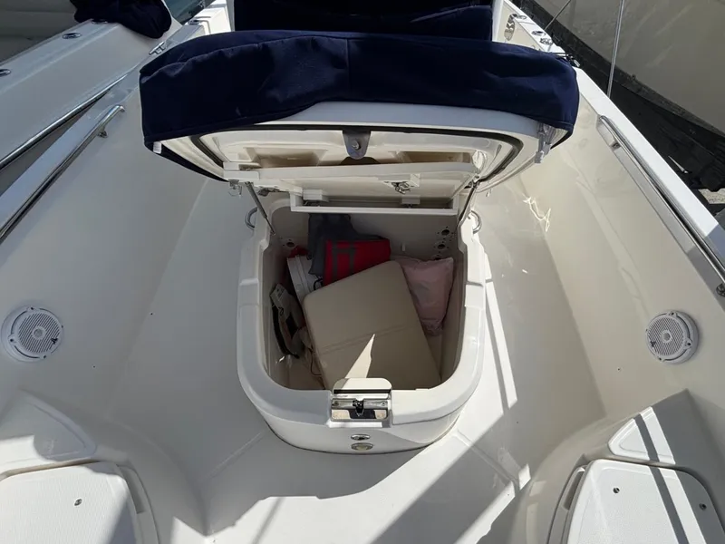 Slide: The Image of Boston Whaler 270 DAUNTLESS 2020 - 11