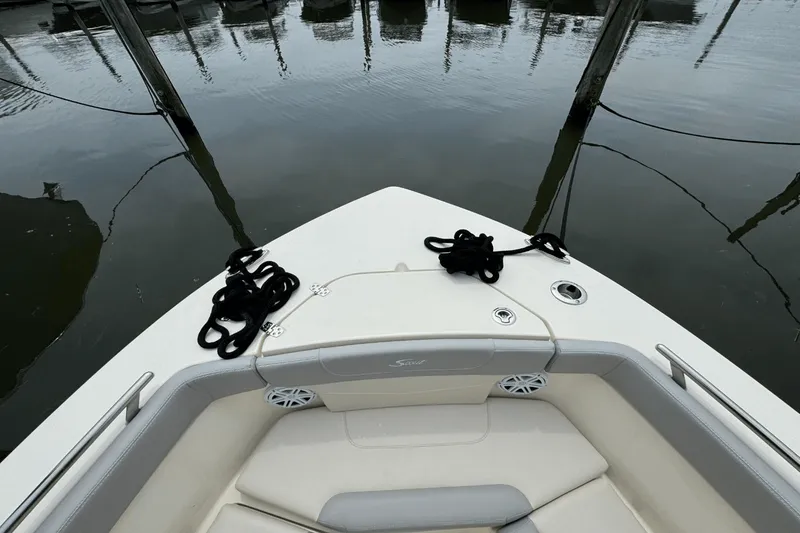 Slide: The Image of Scout 240 XSF 2025 - 38