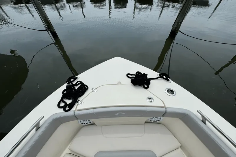 Slide: The Image of Scout 240 XSF 2025 - 39