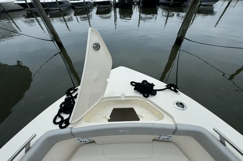 Slide: The Image of Scout 240 XSF 2025 - 41