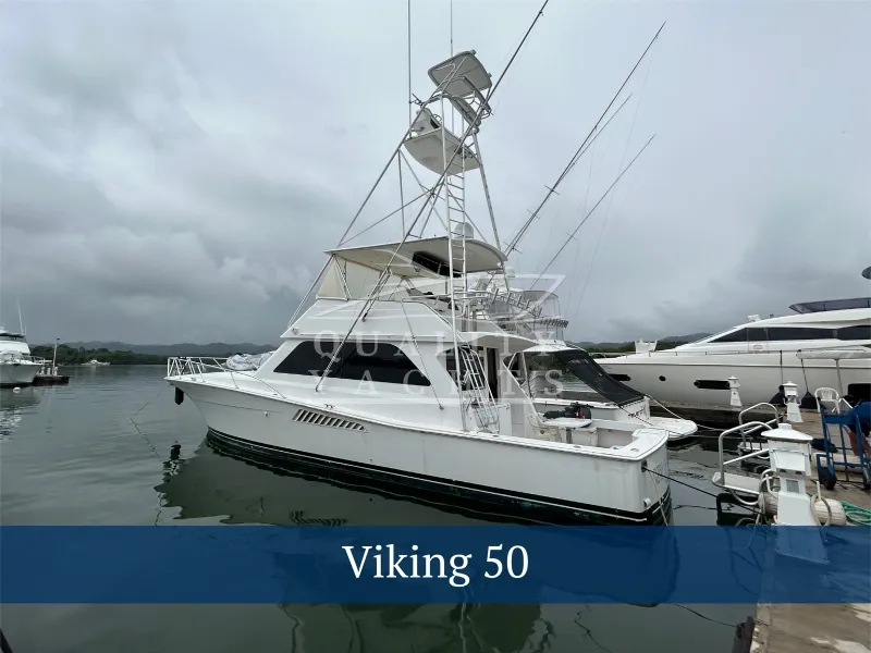 The Image of Viking 50 1999 - 0