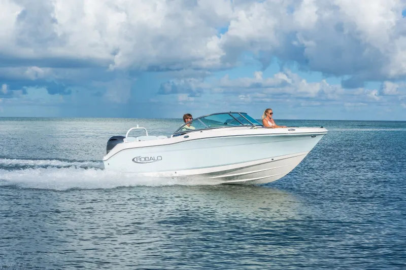 The Image of Robalo DUAL CONSOLES R207 2027 - 0