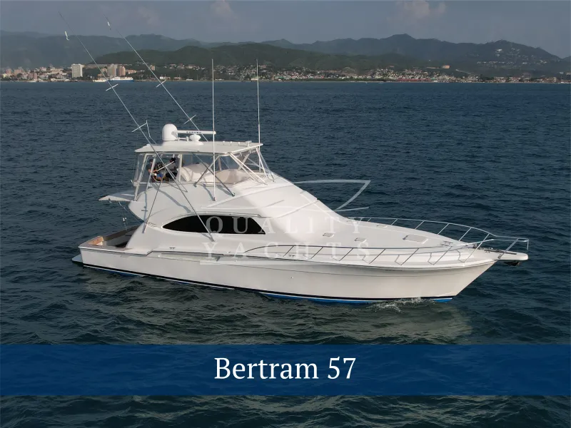 The Image of Bertram 57 2008 - 0