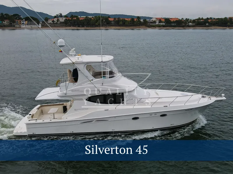 The Image of Silverton 45 2006 - 0