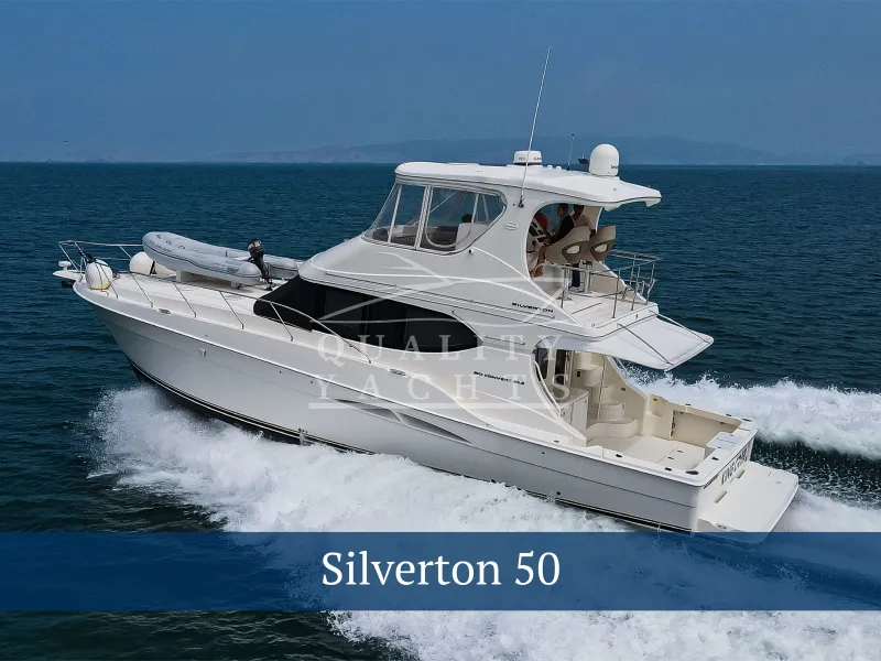 The Image of Silverton 50 2008 - 0
