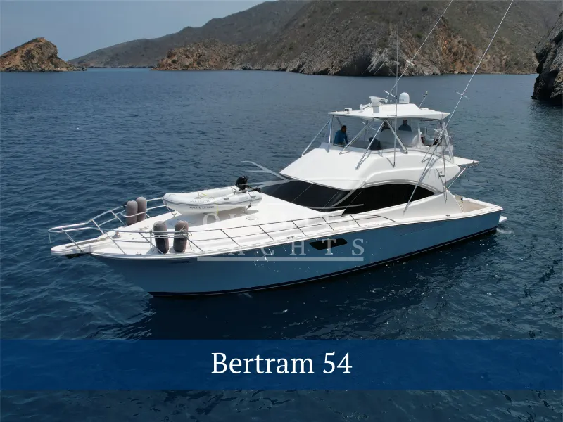 The Image of Bertram 54 Convertible 2010 - 0