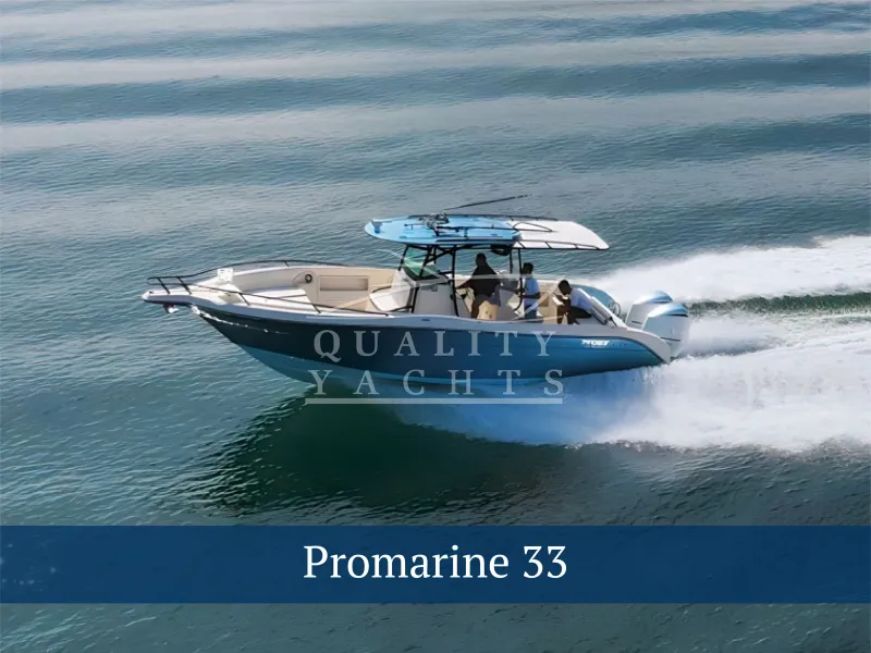 The Image of Promarine 1000 SS 2007 - 0
