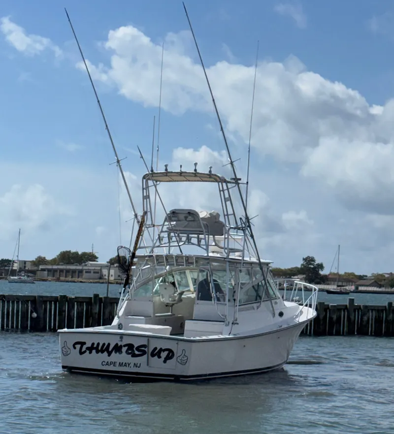Slide: The Image of Henriques 35 Express 2006 - 31