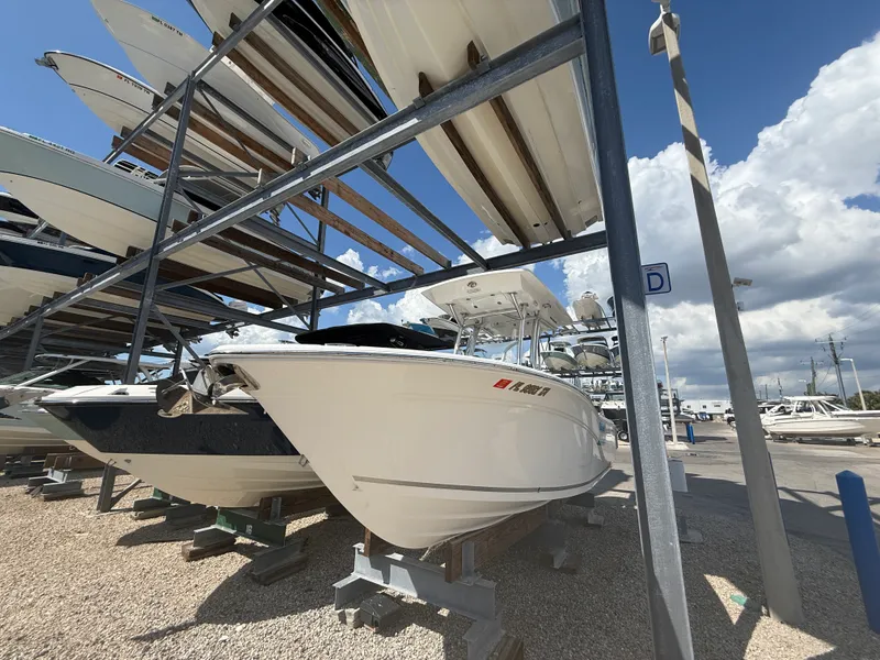 Slide: The Image of Sea Fox 248 COMMANDER 2021 - 2