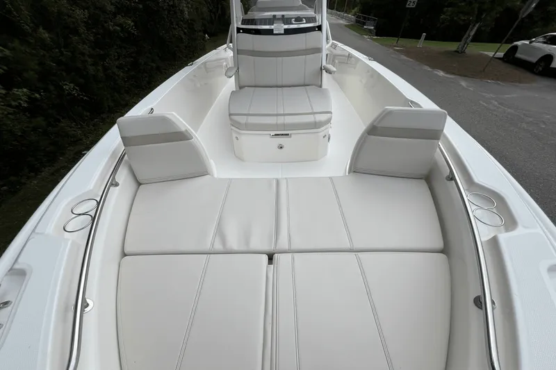 Slide: The Image of Boston Whaler 250 Dauntless 2025 - 12
