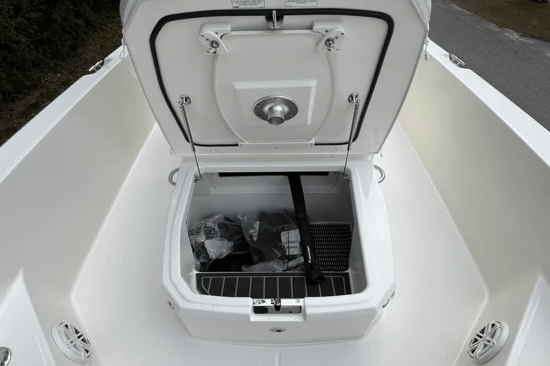 Slide: The Image of Boston Whaler 250 Dauntless 2025 - 13
