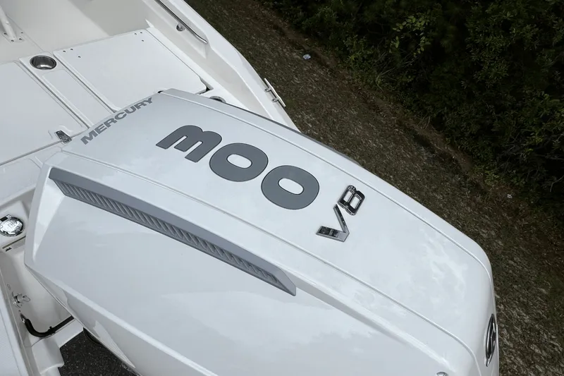 Slide: The Image of Boston Whaler 250 Dauntless 2025 - 1